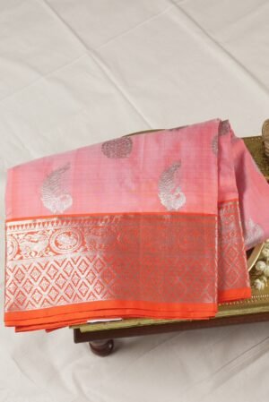 shweta varnika venkatagiri pattu ( baby orange )