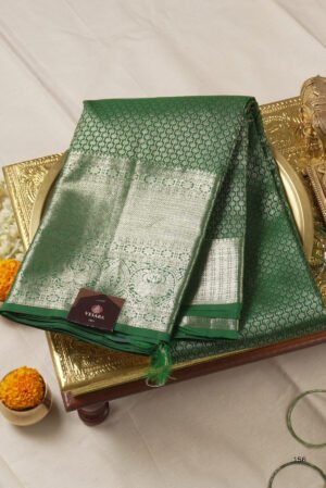 Rajanigandha Silks-Mint Green